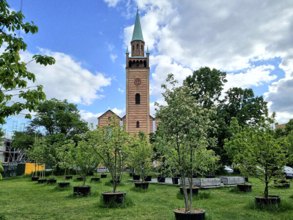 Matthäikirchplatz mit St. Matthäuskirche und Baumschule